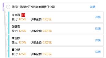 武汉江武科技开发咨询有限责任公司 技术开发咨询的卓越引领者